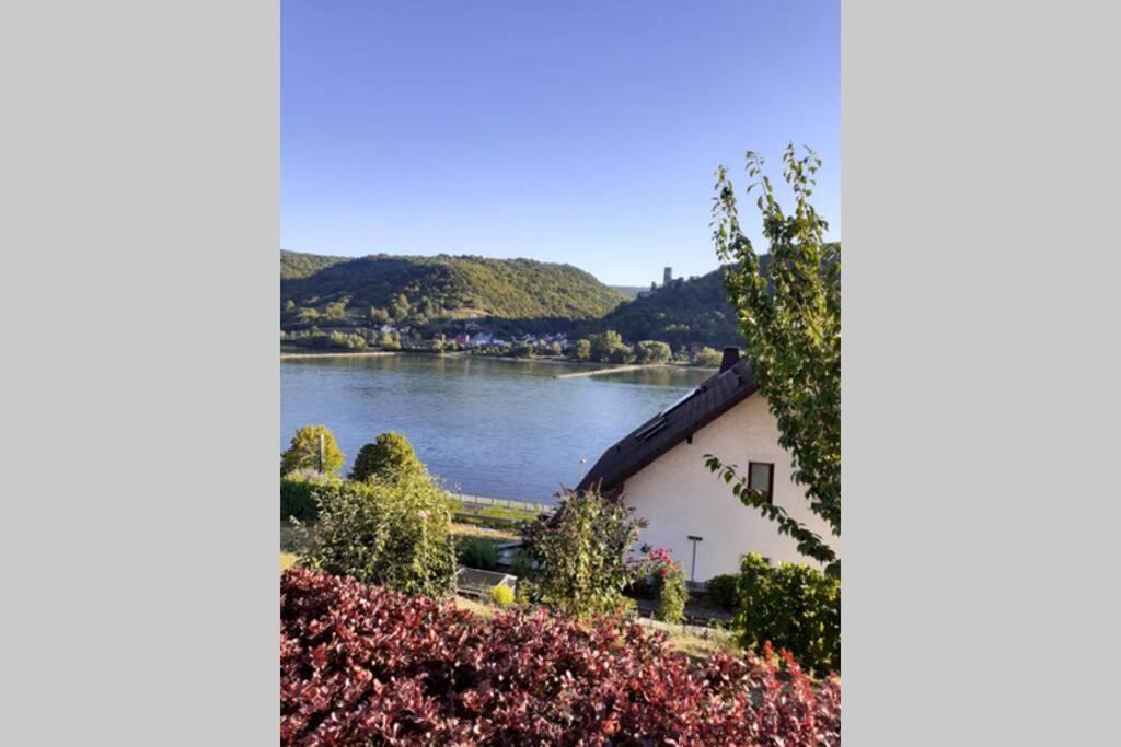 Lorch Lorchhausen Mittelrheintal Weltkulturerbe Apartment Lorch am Rhein Exterior photo